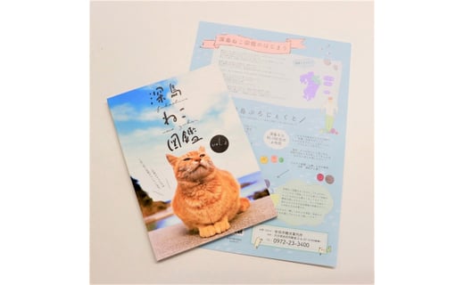 深島ねこ図鑑 １冊 猫たちの表情に癒されます 大分県佐伯市 ふるさと納税 ふるさとチョイス