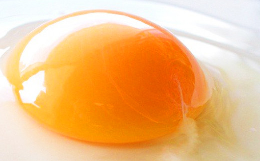 【定期便 偶数月 6回】卵かけごはん専用 あさひ卵 L玉サイズ×30個