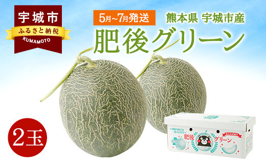 【5月~7月発送】宇城市産 肥後グリーン 2玉(3kg以上)メロン