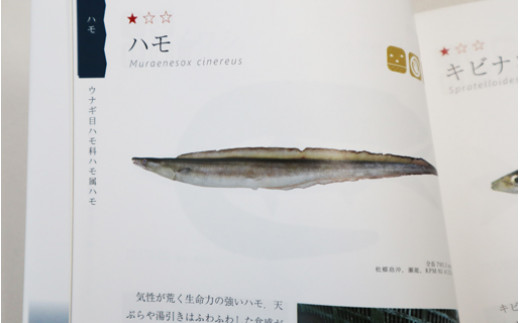 Ai 1 門川の魚図鑑 門川町まちづくり推進課 宮崎県門川町 ふるさと納税 ふるさとチョイス