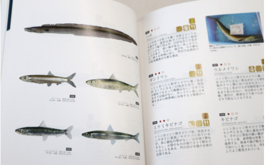 Ai 1 門川の魚図鑑 門川町まちづくり推進課 宮崎県門川町 ふるさと納税 ふるさとチョイス