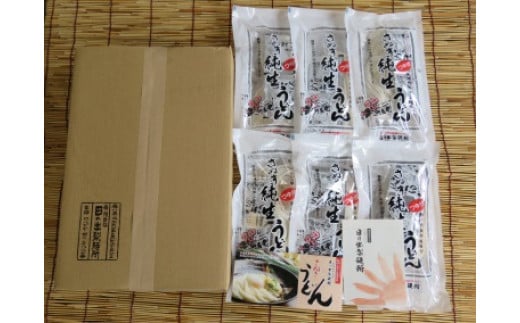『日の出製麺所』純生うどん 4箱セット 784367 - 香川県香川県庁