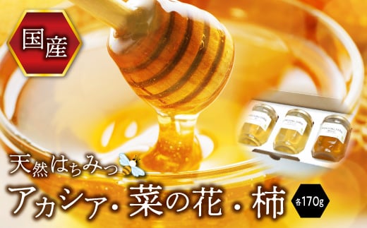 伊達市産 はちみつ米とはちみつセット Fc 293 福島県伊達市 ふるさと納税 ふるさとチョイス