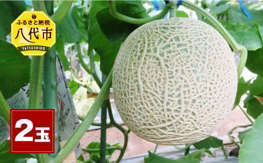 熊本県産 アールスメロン 2玉 (1玉1.7kg~2.2kg)