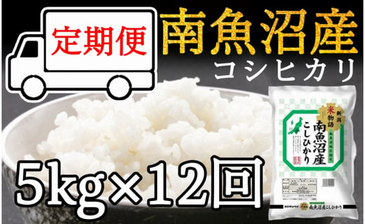 定期便 南魚沼産コシヒカリ5kg 12ヶ月 新潟県南魚沼市 ふるさと納税 ふるさとチョイス