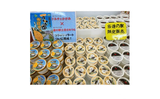 道の駅土佐さめうらでは3種のオリジナルアイスを販売してます。