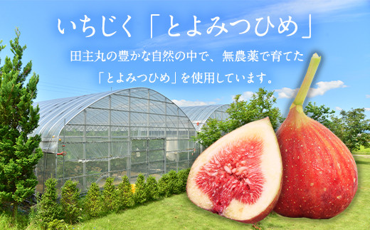 福岡県ブランドいちじく とよみつひめ 1箱 700g 850g 福岡県久留米市 ふるさと納税 ふるさとチョイス