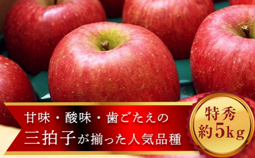 先行予約》2024年 山形県産 完熟 サンふじ りんご 特秀品 5kg 14～20個