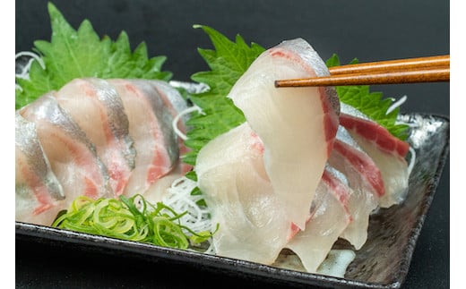 幻の高級魚 縞鯵 シマアジ お刺身セット KS007 - 高知県須崎市 