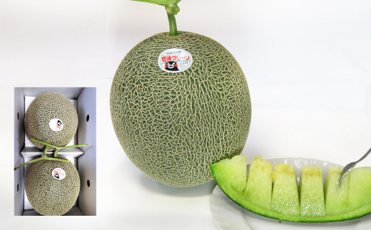 【先行予約】熊本県産 肥後グリーンメロン 約7kg 果物 フルーツ メロン