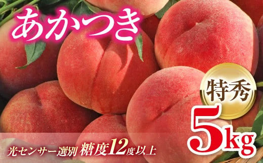 福島の桃 あかつき 特秀 約5kg 福島県伊達市産 桃 先行予約 フルーツ 果物 もも モモ momo F20C-125