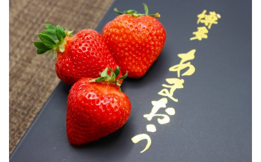 福岡県福津市の甘いイチゴの王様 あまおう 特集 ふるさと納税 ふるさとチョイス