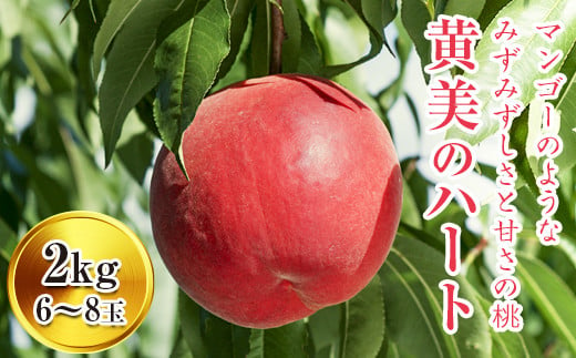 【先行予約】福島県産 桃 黄美のハート 2kg（6～8玉） F20C-150