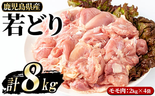 若どりモモ肉(計8kg・2kg×4袋)【まつぼっくり】matu-950