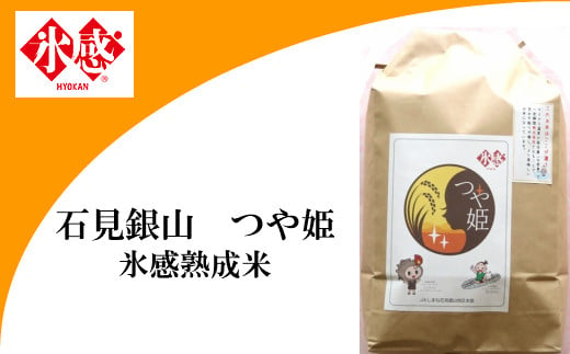 令和2年産 つや姫 島根県大田市 ふるさと納税 ふるさとチョイス