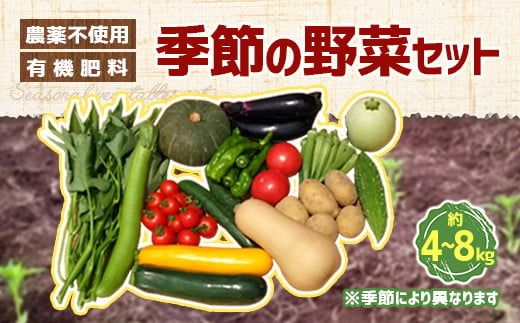 栽培期間中農薬不使用・有機肥料で育てた 季節の野菜セット 約4～8kg