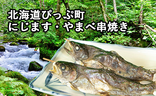 ニジマス ヤマメ 串焼きセット 北海道比布町 ふるさと納税 ふるさとチョイス