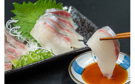 高級魚シマアジ