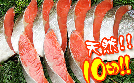 木更津魚市場直送！天然！厚切り紅鮭切身10切セット★