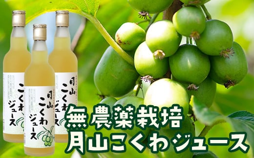 FYN9-179 月山こくわジュース 100％原液 さるなし コクワ 無農薬 酸味 山形県 西川町 318633 - 山形県西川町