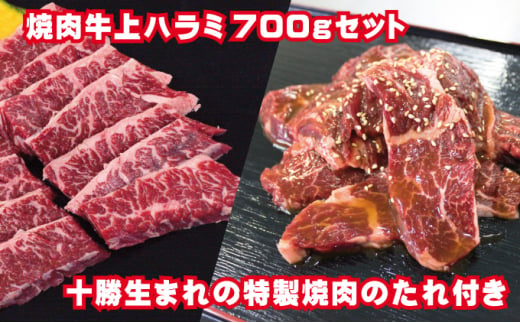 牛上ハラミ（サガリ）700g タレ付き焼肉セット【 牛肉 豚肉 焼き肉 惣菜 冷凍 北海道 十勝 幕別 ふるさと納税 送料無料 】 [№5749-1012] 1371109 - 北海道幕別町