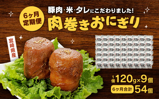 【定期便 年6回】宮崎県産 肉巻きおにぎり 9個×年6回 計54個 豚肉