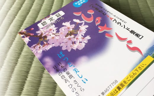 八代産 高級 畳表 ひのさくら 6帖 畳表と床 とこ の新調 熊本県八代市 ふるさと納税 ふるさとチョイス