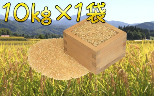 [希望月発送]美味しい新米を玄米でお届け 栄村産コシヒカリ最高評価"特A米"10kg (令和4年産)