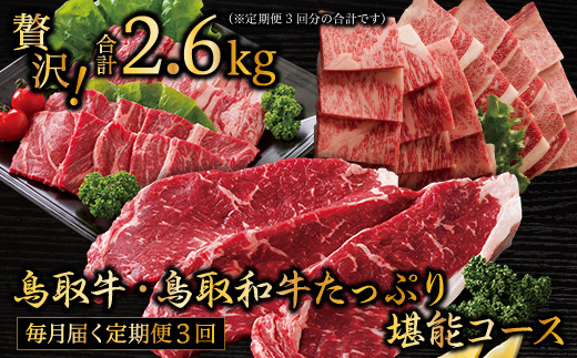 TT01：【定期便】鳥取牛＆鳥取和牛堪能♪焼肉コース（３回お届け）