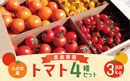 八代市産 宮島農園 トマト 4種 セット 計3kg とまと