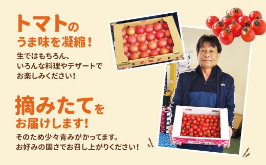 八代産 トマトセット 合計 7kg トマト4kg ミニトマト3kg 熊本県八代市 ふるさと納税 ふるさとチョイス
