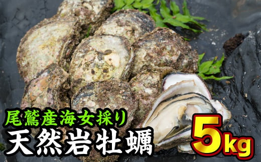  海女採り 尾鷲産天然岩牡蠣（いわがき）　大容量５kgセット（カキ平均サイズ約400g）　MK-13 347532 - 三重県尾鷲市