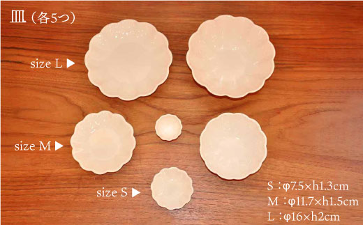 【新品】白山陶器 フリープレート  雲形 ディナープレート  白  5枚セット