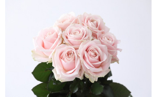 Flower Bouquet(バラのブーケ)10本　淡いピンク系 399071 - 滋賀県守山市