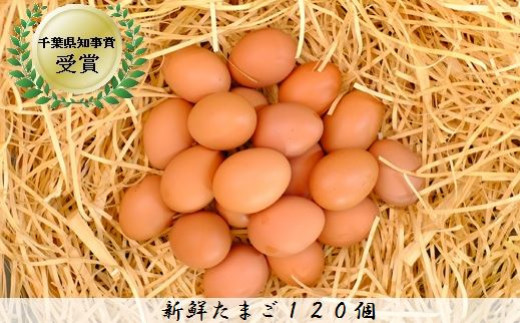 【120個】美味しい産みたて朝採り新鮮たまご(手集卵)ミネラルエッグ