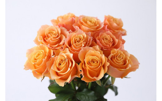 【定期便：12カ月】國枝バラ園から直送！Flower Bouquet（10本の花束）オレンジ系 399185 - 滋賀県守山市