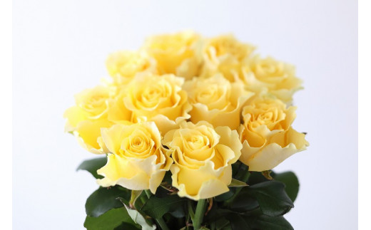 【定期便：12カ月】國枝バラ園から直送！Flower Bouquet（25本の花束）黄系 399199 - 滋賀県守山市