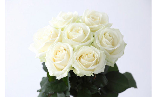 【定期便：12カ月】國枝バラ園から直送！Flower Bouquet（10本の花束）白系 399181 - 滋賀県守山市