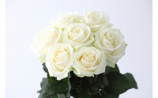 【定期便：12カ月】國枝バラ園から直送！Flower Bouquet（15本の花束）白系 399172 - 滋賀県守山市