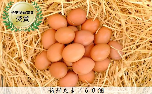 60個 美味しい産みたて朝採り新鮮たまご 手集卵 ミネラルエッグ 千葉県野田市 Au Pay ふるさと納税