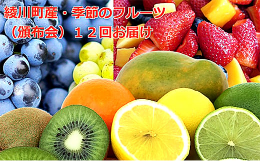 おすすめ 毎月 みかん 柑橘類のふるさと納税を探す ふるさとチョイス