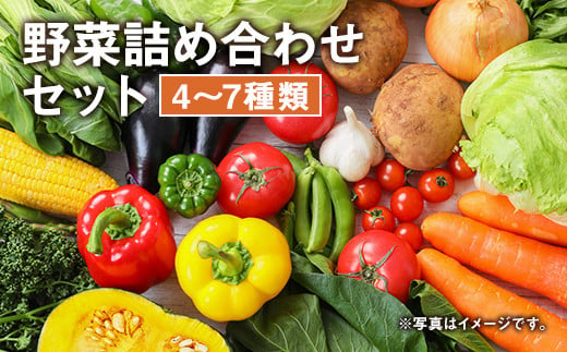 季節の野菜 詰め合わせ セット 4～7種 旬の野菜 季節 野菜