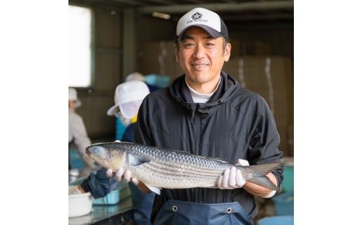 Se 5 知る人ぞ知る逸品 ボラ 味わい４種セット 三重県尾鷲市 ふるさと納税 ふるさとチョイス