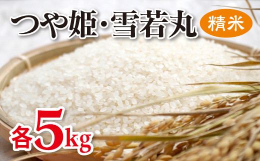 山形県産 つや姫(精米 5kg)&雪若丸(精米 5kg) F20A-550 243470 - 山形県山辺町