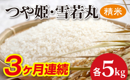 10カ月連続お届け！》山形県産 つや姫(精米 5kg)＆雪若丸(精米 5kg)×10