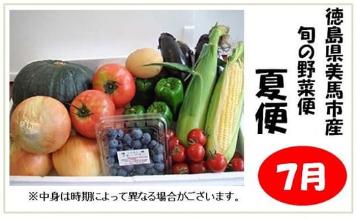 お届けは7月より 旬の野菜便 夏便 21年 徳島県美馬市 ふるさと納税 ふるさとチョイス