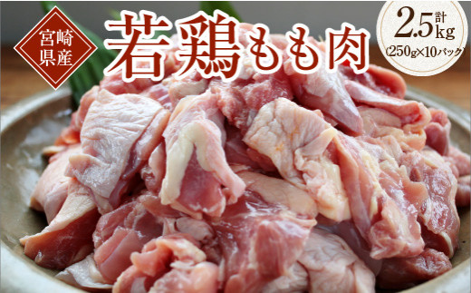 a59 R39 宮崎県産若鶏もも肉 250g 10パック 若鶏炭火焼 150g 1袋 令和3年9月配送分 宮崎県都農町 ふるさと納税 ふるさとチョイス a59 R39 宮崎県産若鶏もも肉 250g 10パック 若鶏炭火焼 150g 1袋 令和3年9月配送分 宮崎県都農町 ふるさと納税 ふるさとチョイス