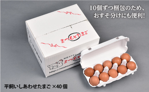 ノンストレス卵 平飼い しあわせたまご 40個 松本養鶏場 Ccd021 長崎県西海市 ふるさと納税 ふるさとチョイス