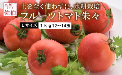 フルーツトマト朱々（Lサイズ）1kg（12玉～14玉）
