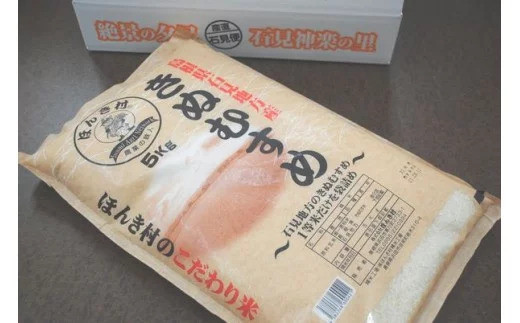 【令和5年産】石見産きぬむすめ5kg 白米 玄米 選択可 お取り寄せ 特産 お米 精米 ごはん ご飯 コメ 新生活 応援 準備 5キロ 【970】